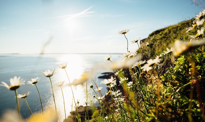 ホ オポノポノ 記憶のクリーニングで嫌な過去も愛 天意 あい へ変換