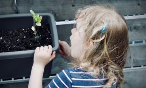 「賢い子に育てる究極のコツ」おすすめの子育て本。頭いい人に！